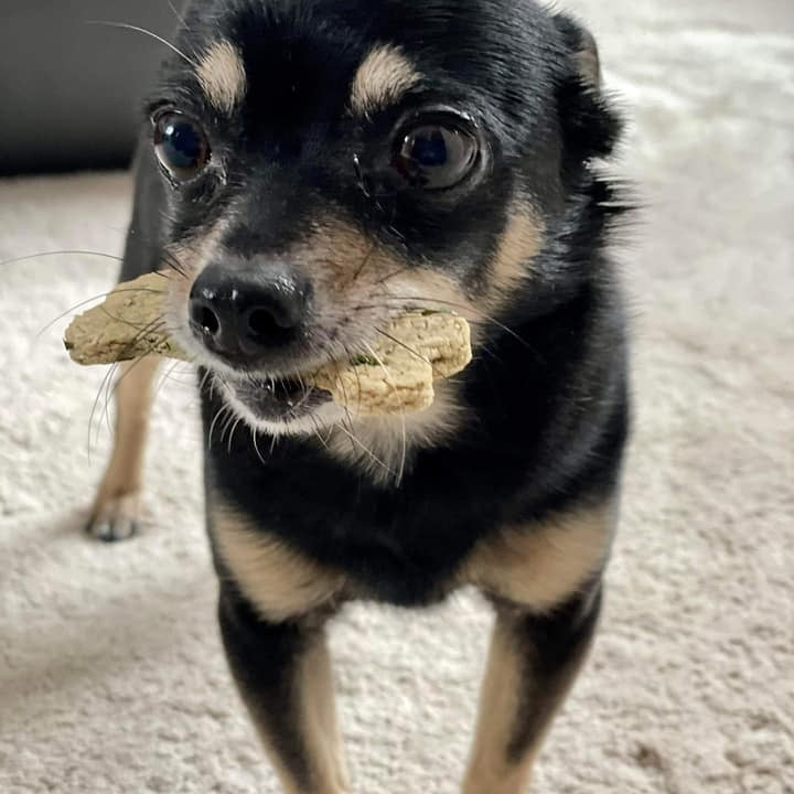 Baked Bones
