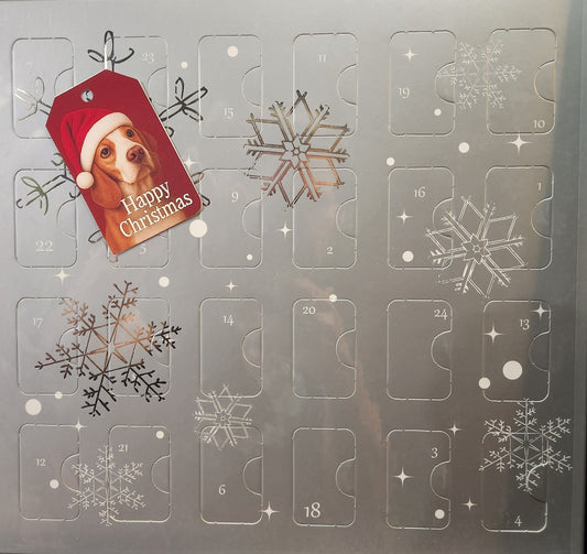 2025 Edition Silver Advent Calendar- Wheat-Free Combo