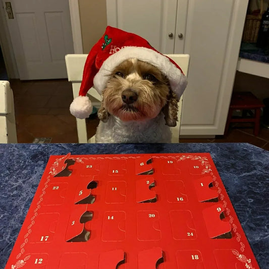 2025 Edition Red Advent Calendar-Peanut Butter Combo (Natural & Organic)