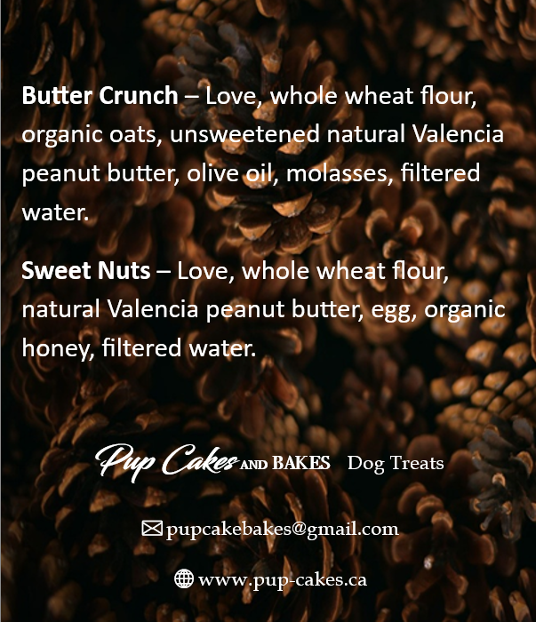 2025 Edition Red Advent Calendar-Peanut Butter Combo (Natural & Organic)